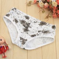 P274 - Celana Dalam Panties Hipster Bunga Abu-Abu