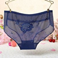 P279 - Celana Dalam Panties Hipster Biru Transparan Bordir Bunga - Thumbnail 2