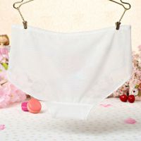 P281 - Celana Dalam Panties Hipster Putih Transparan Bordir Bunga - Thumbnail 2