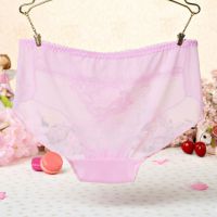 P282 - Celana Dalam Panties Hipster Pink Transparan Bordir Bunga - Thumbnail 2