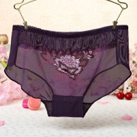 P283 - Celana Dalam Panties Hipster Ungu Transparan, Bordir Bunga