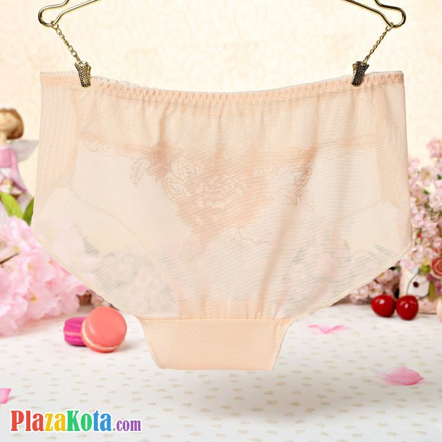 P285 - Celana Dalam Panties Hipster Krem Transparan Bordir Bunga - Photo 2