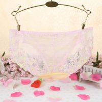 P289 - Celana Dalam Panties Hipster Pink Transparan Bunga-Bunga - Thumbnail 2