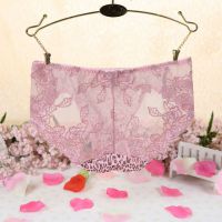 P290 - Celana Dalam Panties Hipster Macan Tutul Pink Transparan - Thumbnail 2