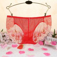 P291 - Celana Dalam Panties Hipster Merah Transparan Dot Kotak-Kotak - Thumbnail 2