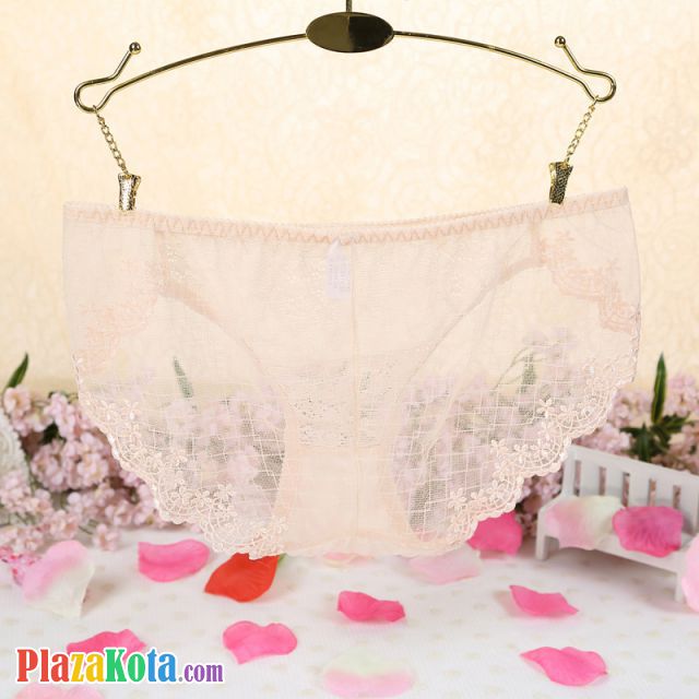 P293 - Celana Dalam Panties Hipster Krem Transparan Kotak-Kotak - Photo 2