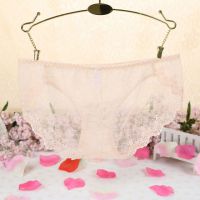 P293 - Celana Dalam Panties Hipster Krem Transparan Kotak-Kotak - Thumbnail 2