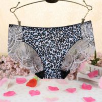 P294 - Celana Dalam Panties Hipster Macan Tutul Biru