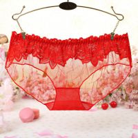 P299 - Celana Dalam Panties Hipster Merah Transparan, Renda Bunga