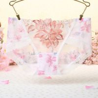 P304 - Celana Dalam Panties Hipster Putih Transparan, Bordir Bunga