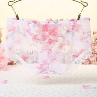 P304 - Celana Dalam Panties Hipster Putih Transparan Bordir Bunga - Thumbnail 2