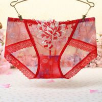 P307 - Celana Dalam Panties Hipster Merah Transparan, Bordir Bunga