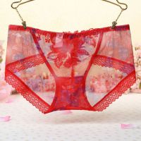 P307 - Celana Dalam Panties Hipster Merah Transparan Bordir Bunga - Thumbnail 2