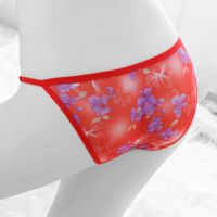 P397 - Celana Dalam Panties Thong Merah Transparan Kupu-Kupu - Thumbnail 2