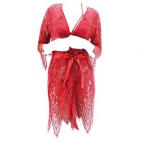 L1014 - Lingerie Robe Merah Transparan, Lengan Panjang, Ikat Pinggang, Bra Set Halterneck - Thumbnail 1