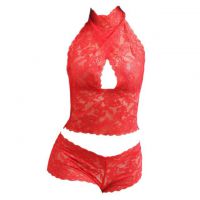 B283 - Bikini Bra Set Halterneck Merah Transparan