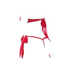 B287 - Lingerie Set Costume Slave Merah, Bulu Putih, Bra Strapless Bandeau, Tali Leher - 2