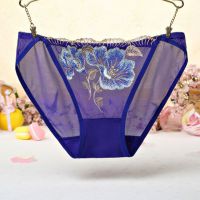 P434 - Celana Dalam Panties Hipster Biru Transparan, Bordir Bunga