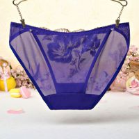 P434 - Celana Dalam Panties Hipster Biru Transparan, Bordir Bunga - Thumbnail 2