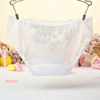 P435 - Celana Dalam Panties Hipster Putih Transparan Bordir Bunga - Thumbnail 2