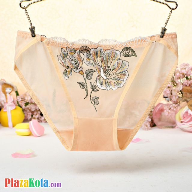 P438 - Celana Dalam Panties Hipster Krem Transparan Bordir Bunga - Photo 1