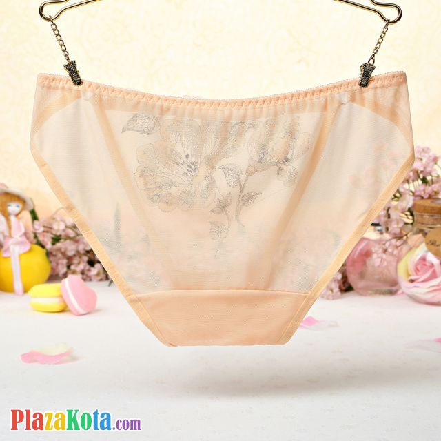 P438 - Celana Dalam Panties Hipster Krem Transparan, Bordir Bunga - Photo 2