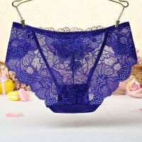 P440 - Celana Dalam Panties Hipster Biru Transparan Bordir Bunga - 2