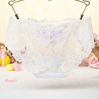 P442 - Celana Dalam Panties Hipster Putih Transparan Bordir Bunga - 2