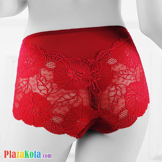 P449 - Celana Dalam Panties Brief Marun Transparan - Photo 2