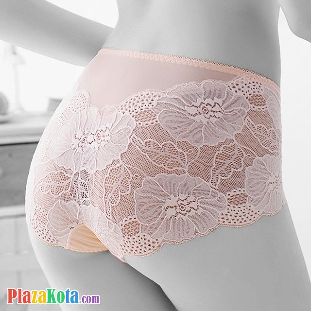 P452 - Celana Dalam Panties Brief Krem Transparan - Photo 2