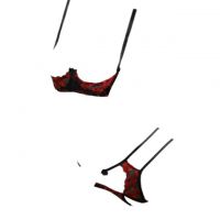 B309 - Bra Set Underwire Kawat Open Cup Hitam Transparan Celana Dalam Crotchless Bordir Bunga Merah