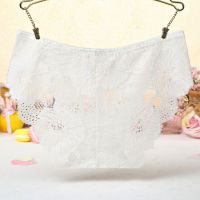 P509 - Celana Dalam Panties Hipster Bunga Putih Transparan - Thumbnail 2