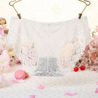 P529 - Celana Dalam Panties Hipster Putih Transparan - Thumbnail 2