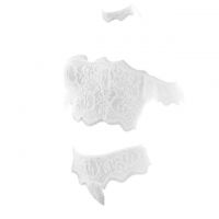 B329 - Bikini Bra Set Kemben Putih Transparan, Lengan Pendek, Kalung Choker Kain - Thumbnail 1