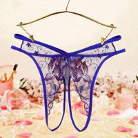 P635 - Celana Dalam Panties Hipster Biru Transparan Crotchless Bordir Bunga Tali 2